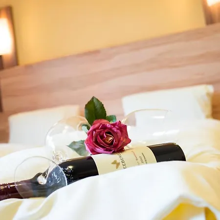 Hotel Schladmingerhof Schladming