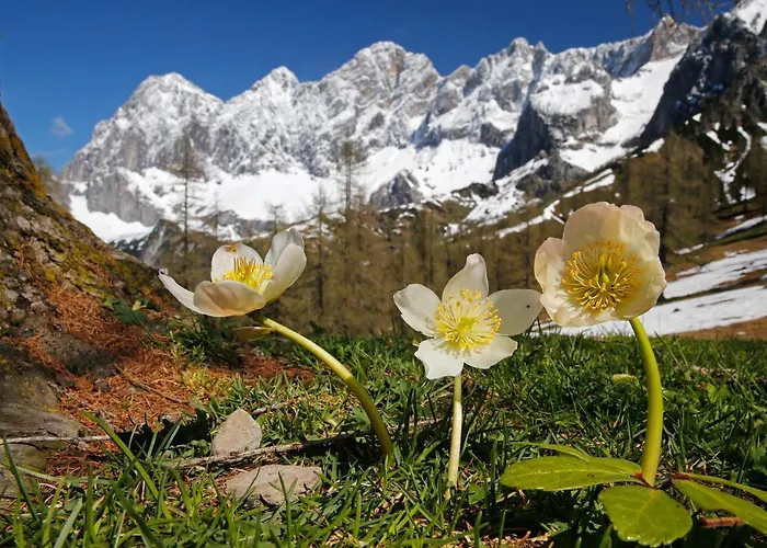 Schladmingerhof 호텔