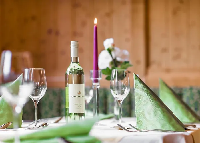 Hotel Schladmingerhof 3*