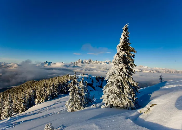 호텔 Schladmingerhof